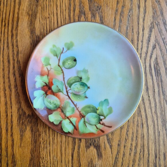 Hutchenreuther Selb Bavaria Handpainted Gold Trimmed Plate Cottagecore - Picture 1 of 13